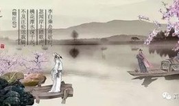 汪伦自我爆料视频下载,一场关于真实与隐私的较量